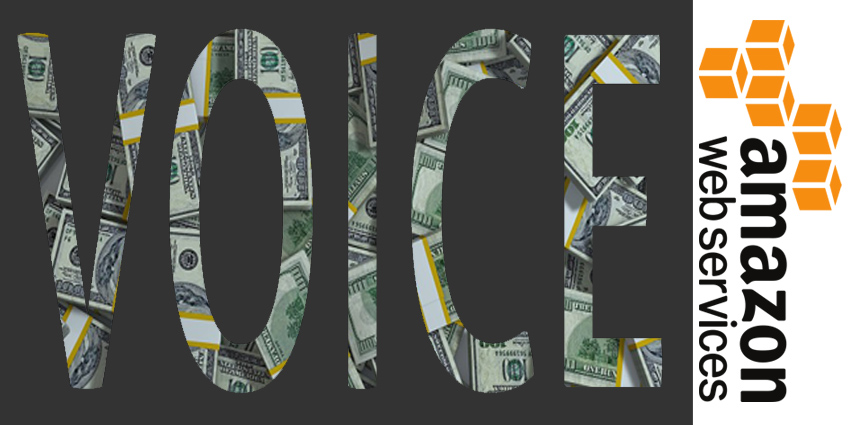 Amazon and The Value of Voice in an Untapped Market