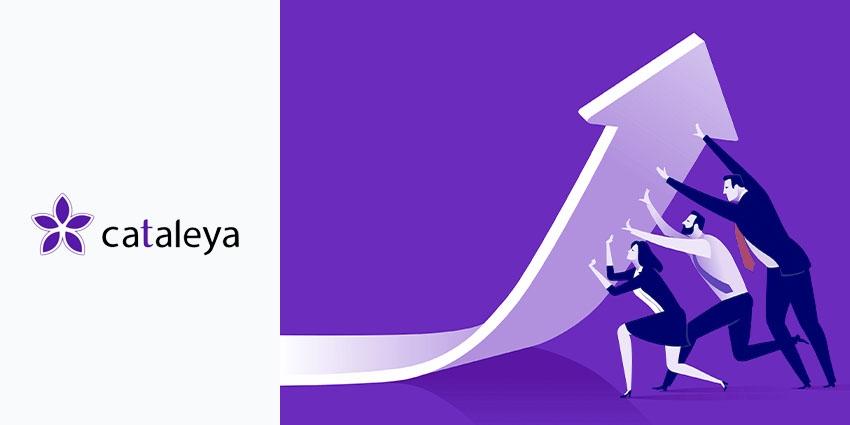 How Cataleya Provide the Foundations for Growth