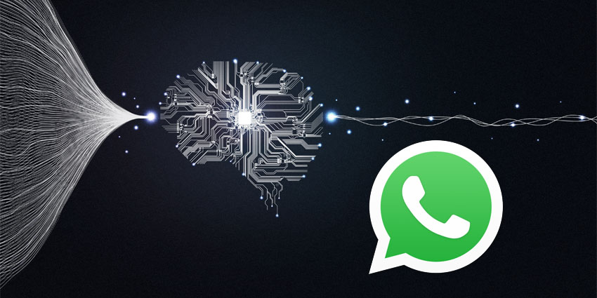 Meta Looks Poised To Bring An AI Revolution To WhatsApp