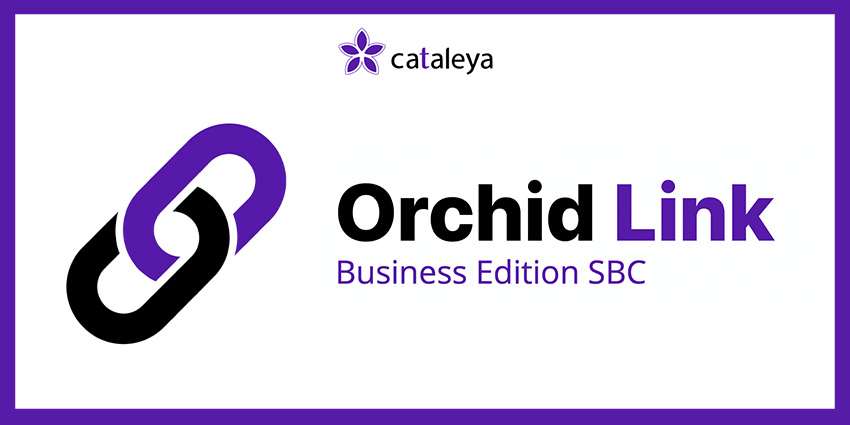 Orchid Link: Enabling Businesses to Analyse Calls and Safeguard Customers