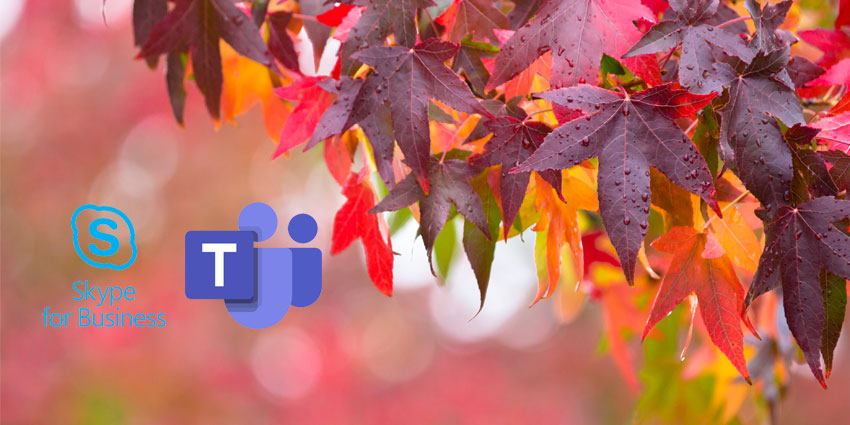 Out Loud: September Microsoft Collaboration Update
