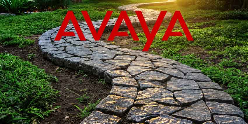 Setting the Record Straight on Avaya