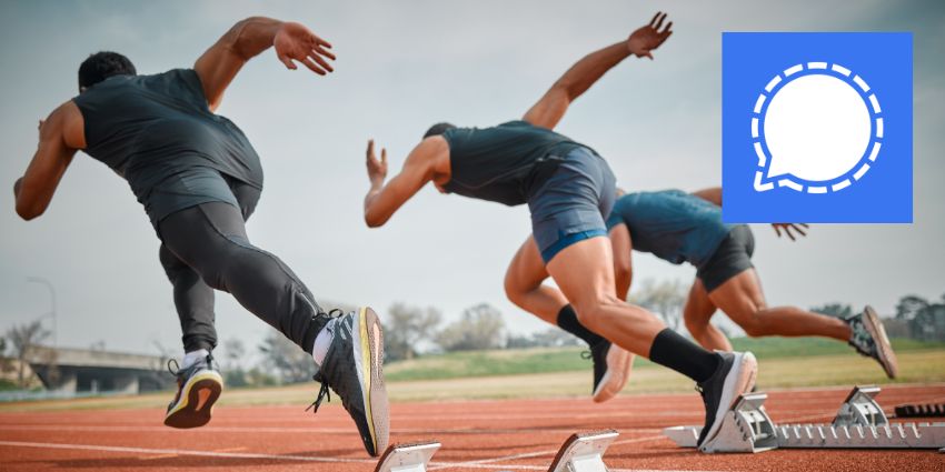Signal Rivals Teams and Zoom with Latest Features