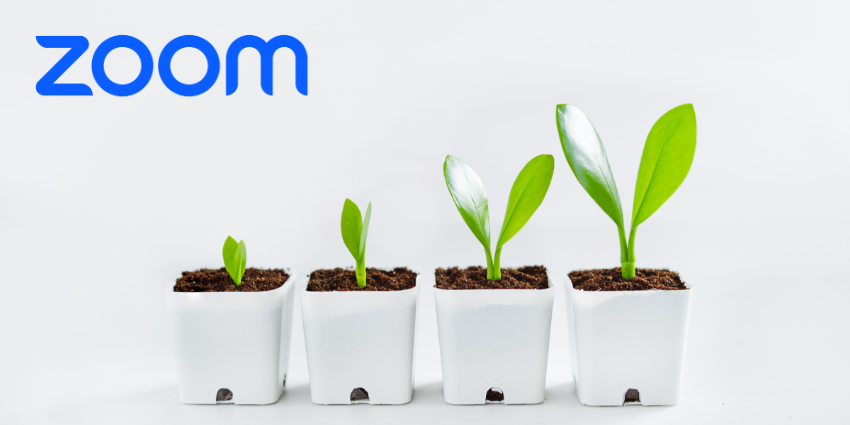 Zoom Reports Q1 Growth Despite Lay-Offs